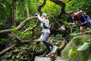 BIB: 
                            <button type="button" onclick="openModal(19408032)" class="btn btn-primary btn-sm float-right btn-popup" data-toggle="modal" data-target=".modal-high-quality">
                        <i class="fas fa-shopping-cart"></i> Add to Cart
                    </button>
                                            <button type="button" onclick="isThisMe(19408032, true)" class="btn btn-success btn-sm float-right btn-popup btn-isme hidden" data-toggle="tooltip" data-placement="bottom" title="นี่คือรูปของคุณใช่ไหม คลิกที่นี่เพื่อเอาเข้าอัลบั้ม">
                        <i class="fas fa-plus"></i> Add to album
                    </button>
                    <button type="button" onclick="isThisMe(19408032, false)" class="btn btn-warning btn-sm float-right btn-popup btn-isnotme hidden">
                        <i class="fas fa-ban"></i> Remove from album
                    </button>